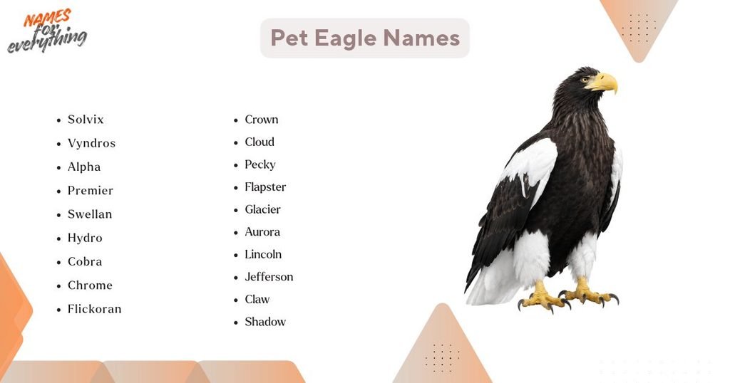 Pet Eagle Names