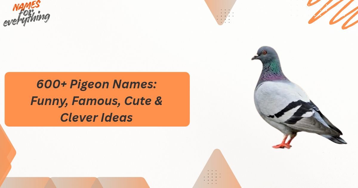 Pigeon Names