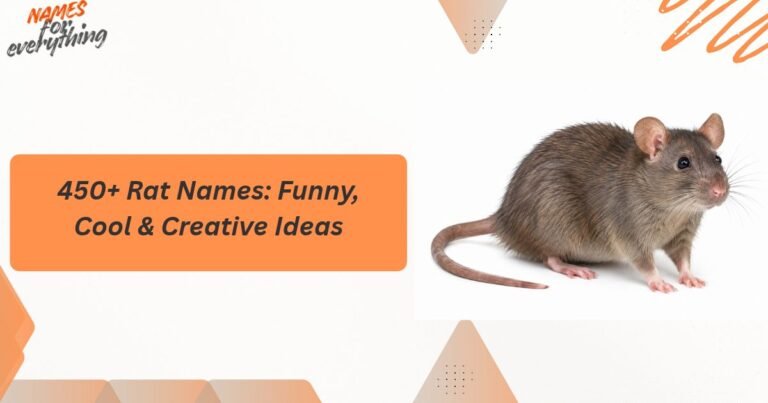 Rat Names