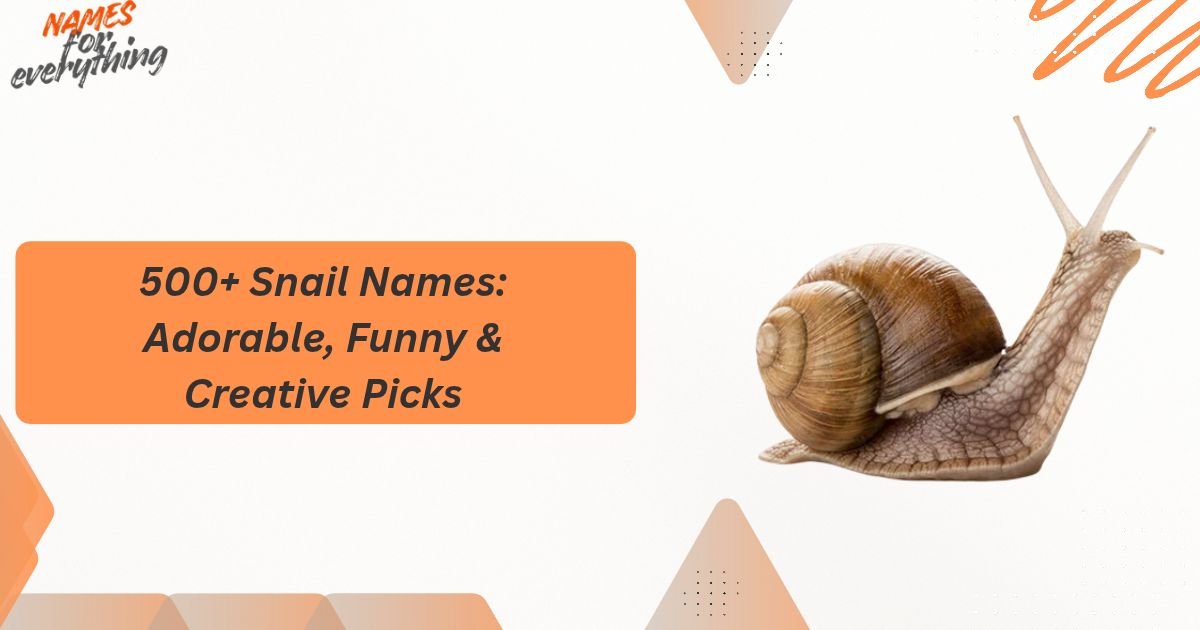 Snail Names