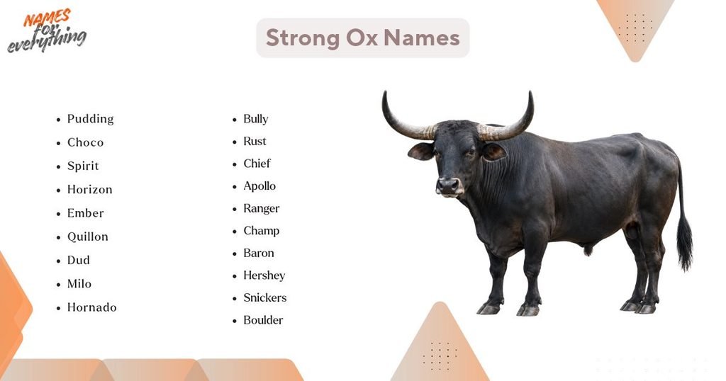 Strong Ox Names