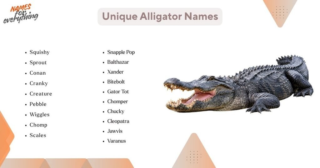 Unique Alligator Names