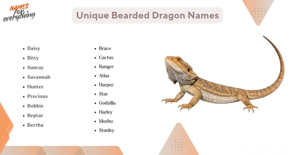 Unique Bearded Dragon Names