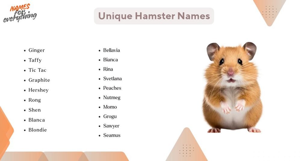 Unique Hamster Names