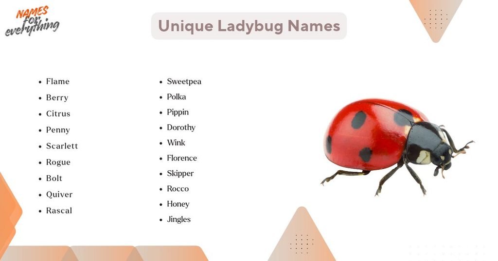 Unique Ladybug Names