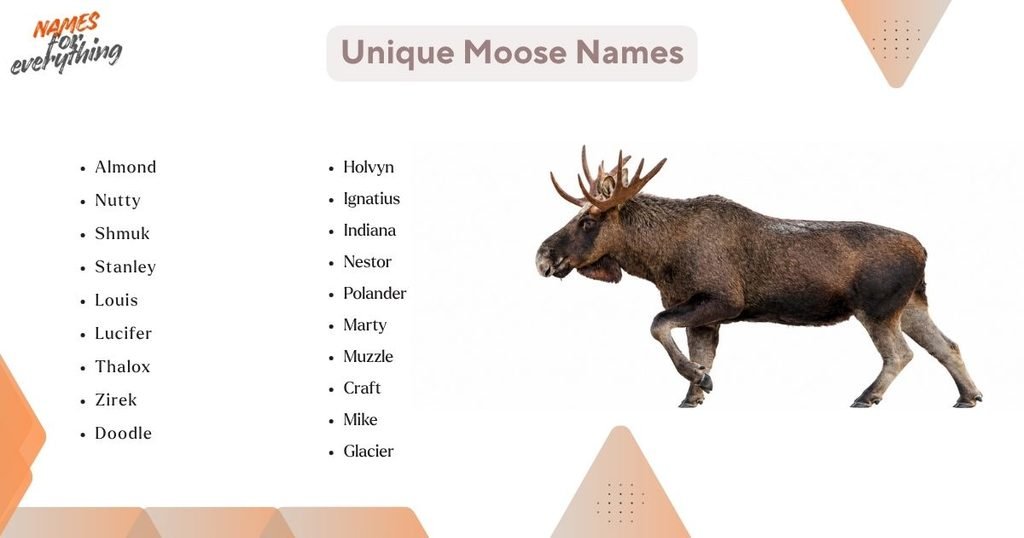 Unique Moose Names