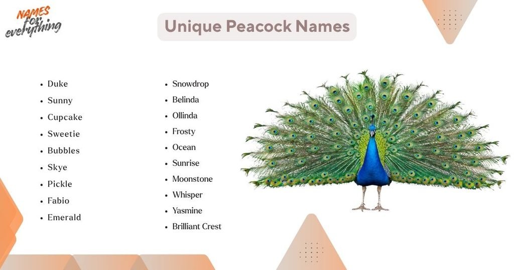 Unique Peacock Names