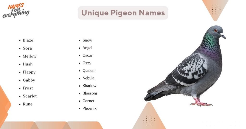 Unique Pigeon Names