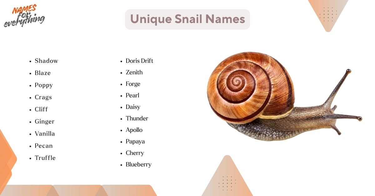 Unique Snail Names