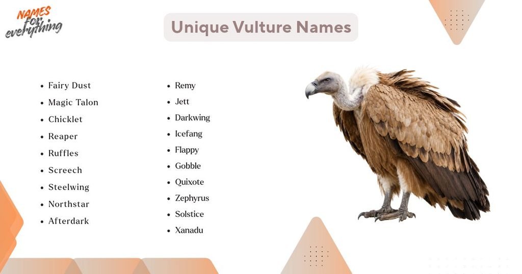 Unique Vulture Names