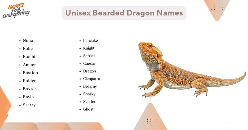 Unisex Bearded Dragon Names