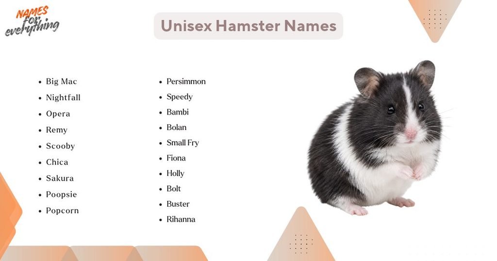 Unisex Hamster Names