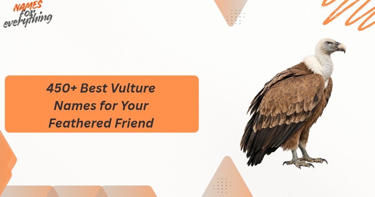 Vulture Names